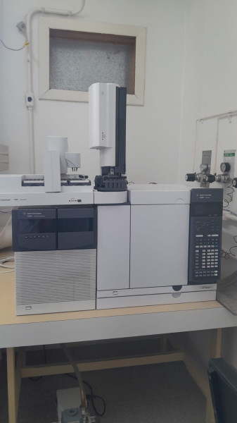 Cromatografia Gasosa (CG)