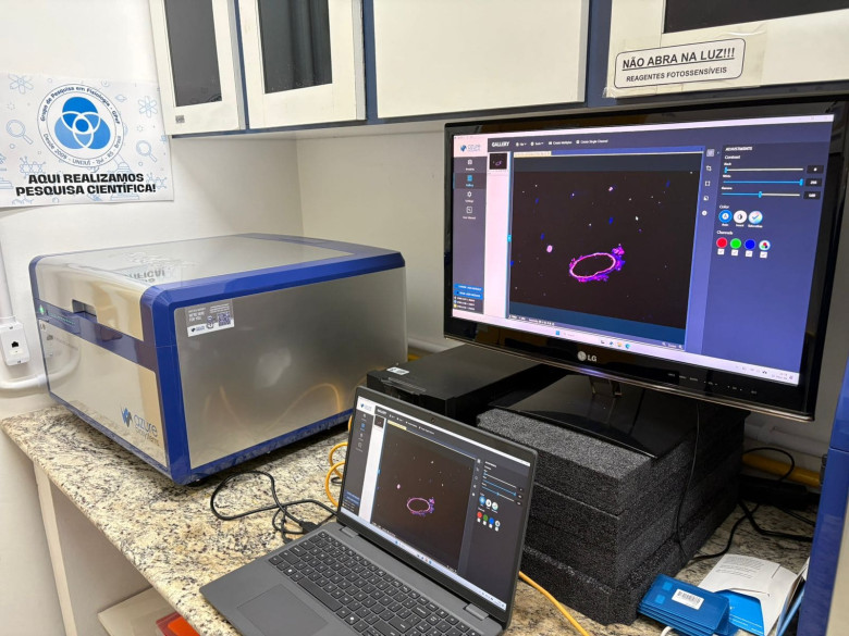 Sapphire FL Biomolecular Imager IS4000