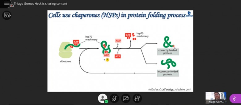 Slide 2