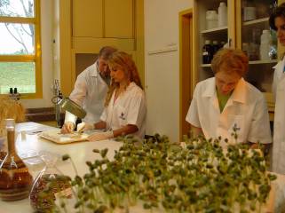 Laboratório de sementes