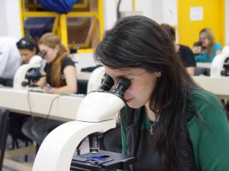 Laboratório de farmácia
