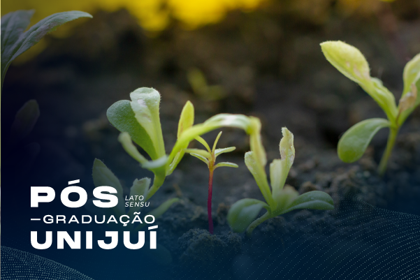 Plantas de lavoura Imagem Curso